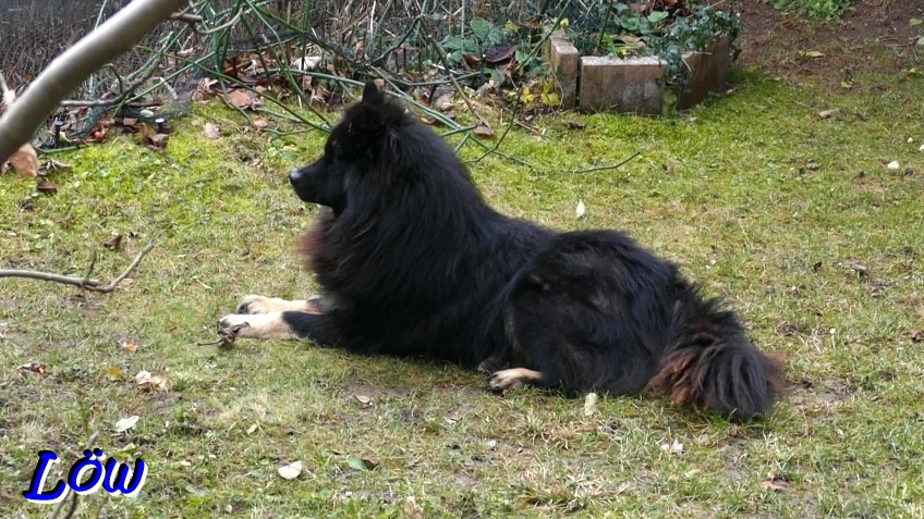 11.12.2025 - Spielende